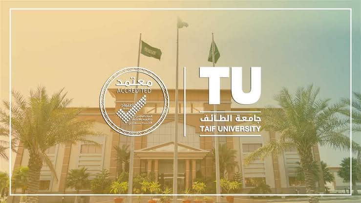 جامعة الطائف المنظومه